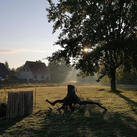 Ferienwohnung & Campingplatz Vor Dem Berg Heideblick 외부 사진