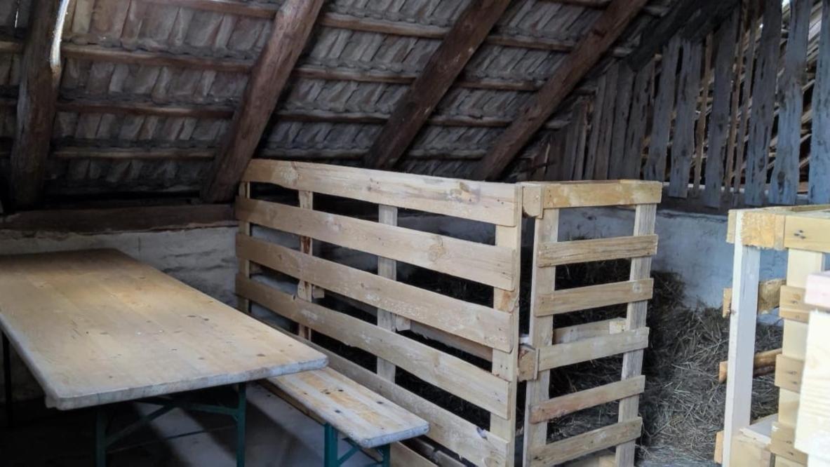 Ferienwohnung & Campingplatz Vor Dem Berg Heideblick 외부 사진